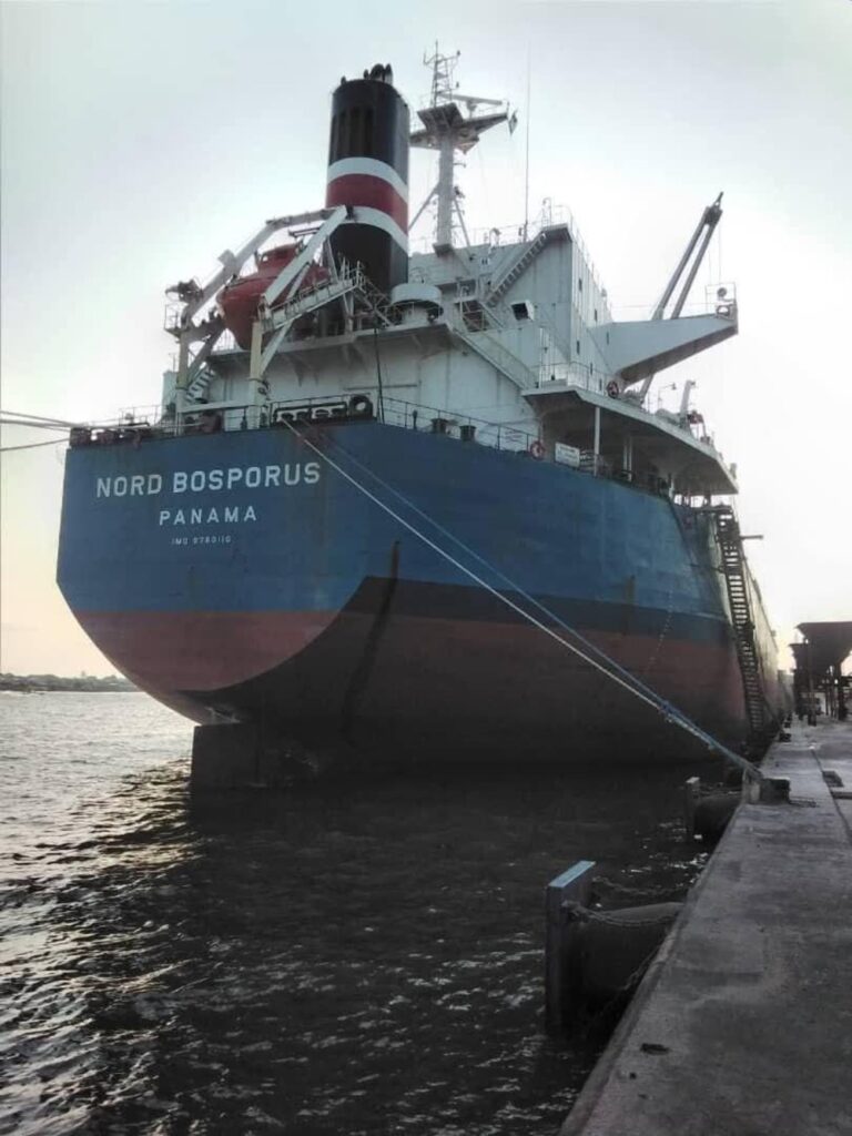 Puerto de Lagos: decomiso de cocaína procedente de Brasil