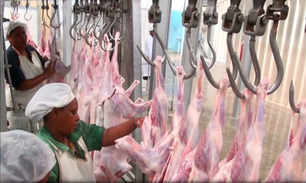Etiopía: se reanudan las exportaciones de carne hacia Catar