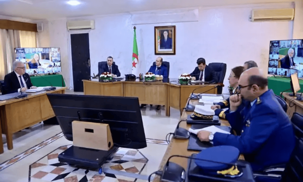 Argelia: alerta por langostas y apuesta por el Gran Sur