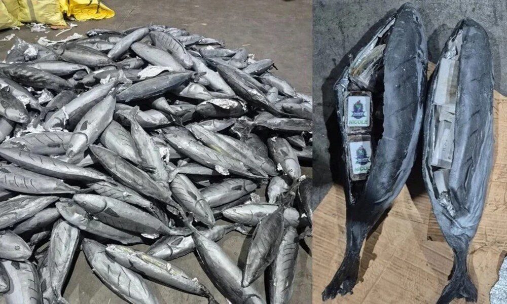 Marruecos: incautadas cerca de 4 toneladas de hachís en el puerto de Tánger Med