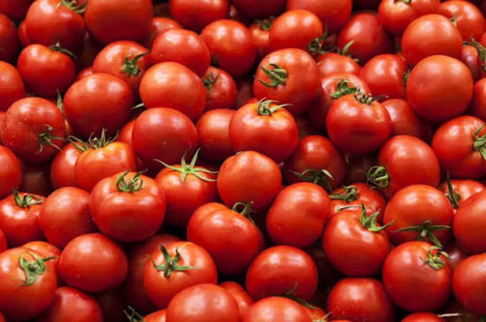 Burkina Faso: Reanudación de las exportaciones de tomate fresco