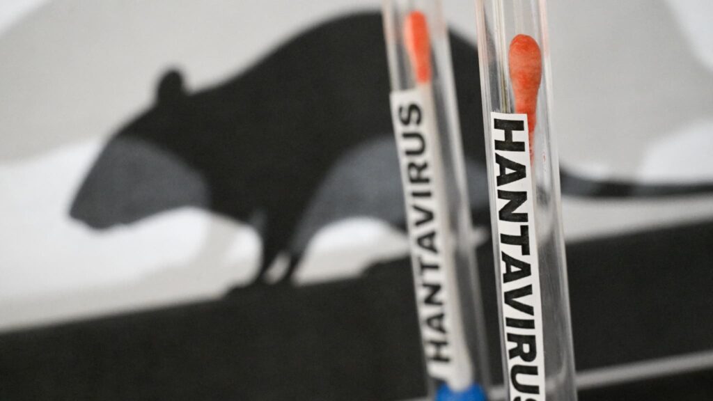 Hantavirus: la OMS confirma la ausencia de tratamiento específico