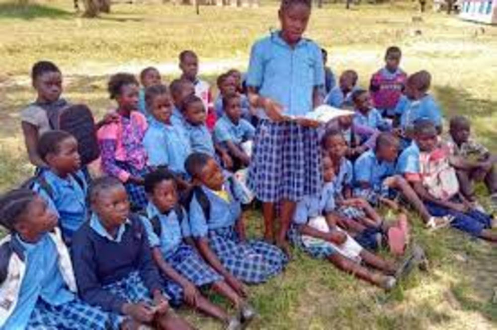 Zambia quiere consagrar la gratuidad de la educación en la ley
