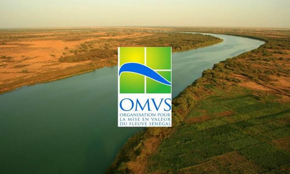 Mali-OMVS: la navegación fluvial, eje clave para superar el aislamiento