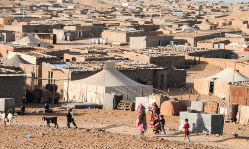 Eurodiputados reclaman un mayor control de la ayuda destinada al Polisario